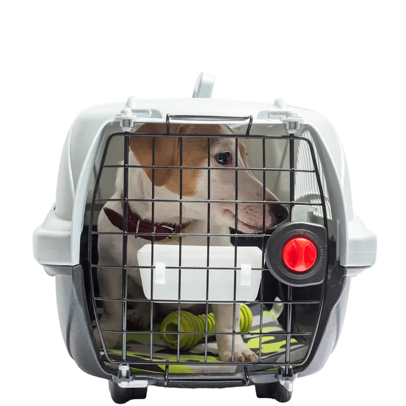 Группа компаний 1-я Транспортная официальный сайт фото №11